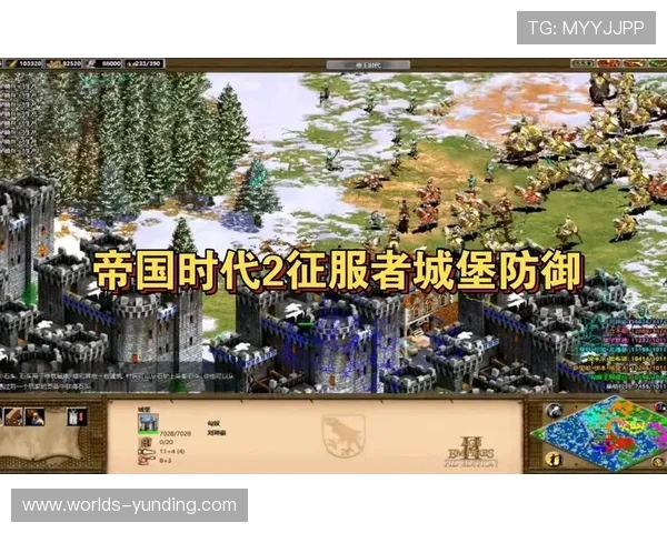 二战单机游戏高难度通关技巧全面解析助你轻松征服敌人